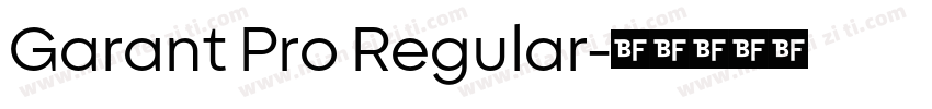 Garant Pro Regular字体转换